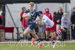 24/10/2026; Foto Alfio Guarise; Soladria Serie A Elite; Rangers Arena di Vicenza; Rangers Vicenza vs Mogliano Veneto Rugby; rugby;